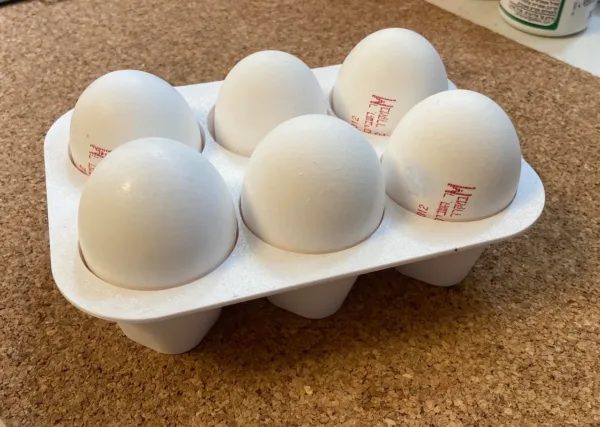 6 Eggs tray
